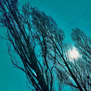 What If We Already Know?