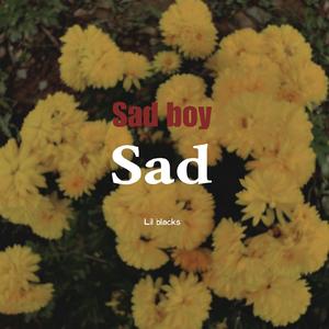 Sad（prod.by Morrow x Raspo）