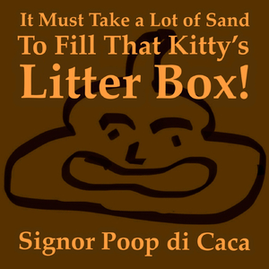 It Must Take a Lot of Sand to Fill That Kitty’s Litter Box