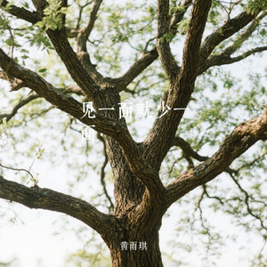 见一面就少一面