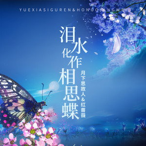 泪水化作相思蝶 (对唱版)