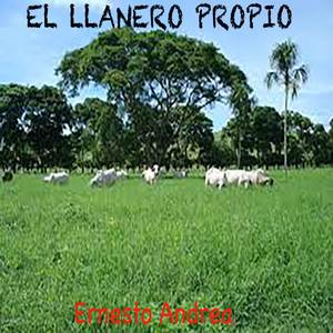 Romance en Capanaparo