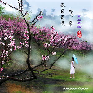 春风走进我心房