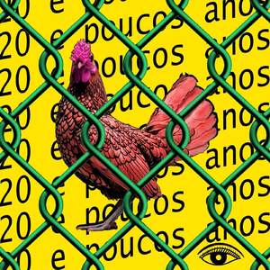 20 e Poucos Anos
