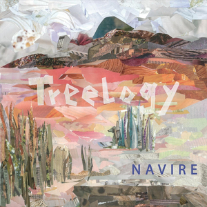 Navir