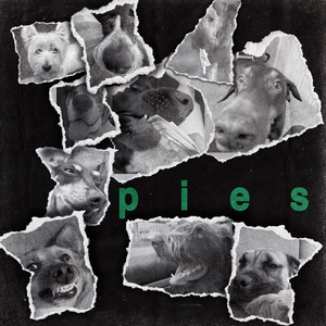 pies