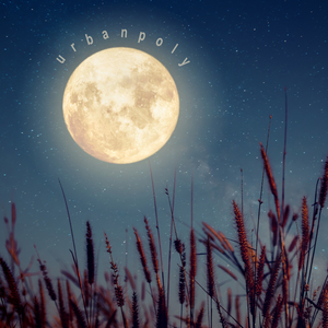 오늘 같은 밤이면 (feat. 밈)