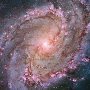 爱丫爱丫（钢琴版）