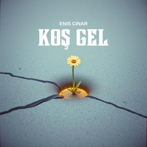 Koş Gel