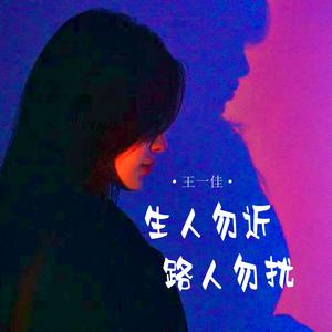 生人勿近路人勿扰 (DJ西米版)