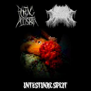 Decapitated By An Aligator At The Zoo