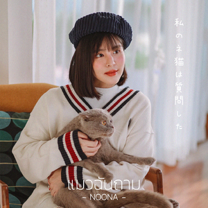 แมวฉันถาม