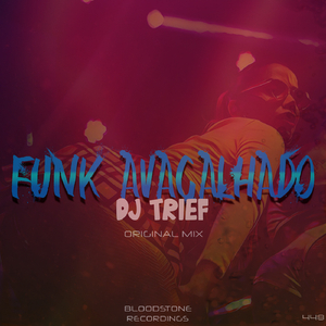 Funk Avacalhado (Original Mix)