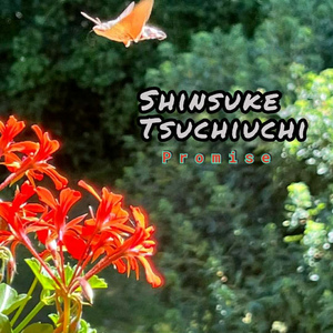 My Music