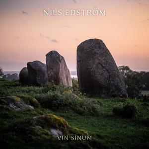 Vin Sínum