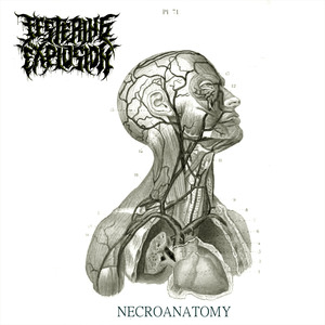 Necronstructed