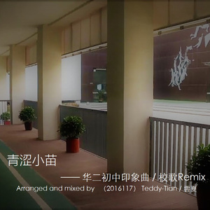 青涩小苗（ 华二初中校歌Remix ）