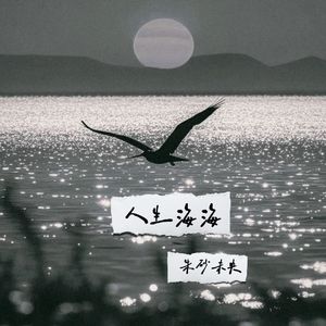 人生海海