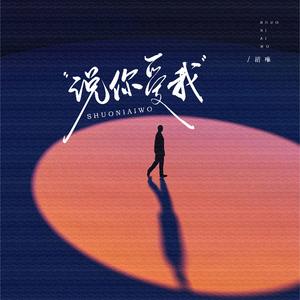 说你爱我