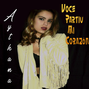 Você Partiu Meu Coração