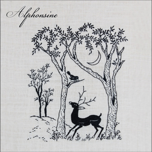 Bring Your Light Around