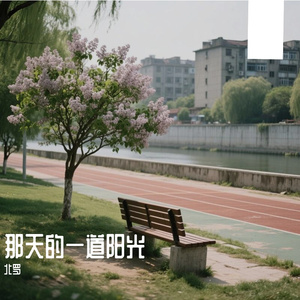 那天的一道阳光