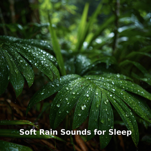 Soft Rain, Pt.26