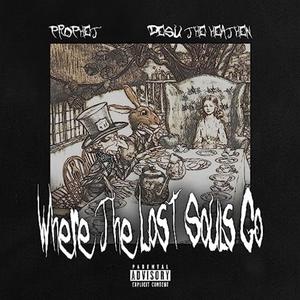 WHERE THE LOST SOUL'S GO (feat. Desu The Heathen)