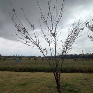 我想起了（prod by 老丁laoding）