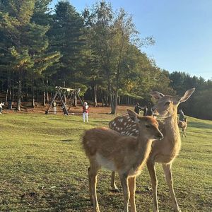 想自由demo（Cover：林宥嘉）