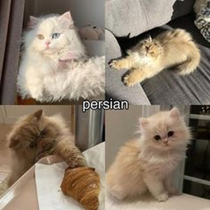 We Dont Talk Anymore (Sped up)