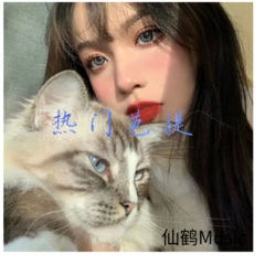 年轻人嚣张跋扈 (DJ版)