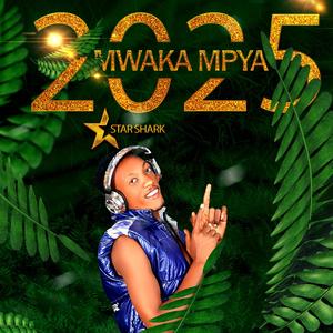 Mwaka Mpya