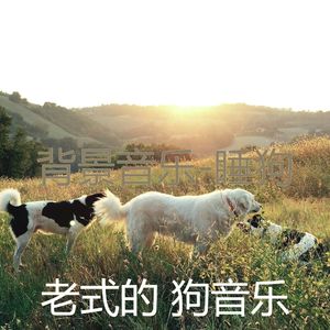 服从(幼犬)