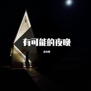 有可能的夜晚（低音女声版）