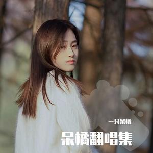 送你一朵小红花（cover：赵英俊）（吉他女声版）（翻自 Mr.田）