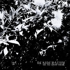 Desideratum (feat. pō'edik)