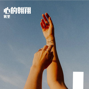 心的翱翔