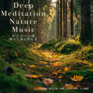 雨音 - 疲労困憊のあなたへ 深い眠りのための自然音BGM