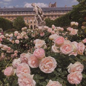 breeze（prod by 6xtence)