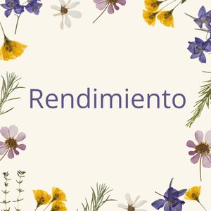 Rendimiento