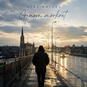 GENOM MÖRKRET