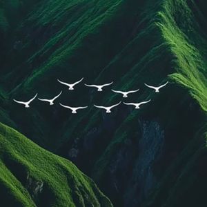 我心碎成海 你却已靠岸