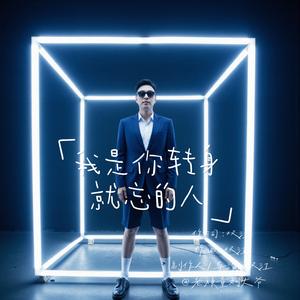 我是你转身就忘的人