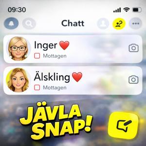 Jävla snap!