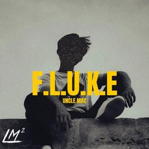Fluke