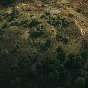 【BEAT】十面埋伏