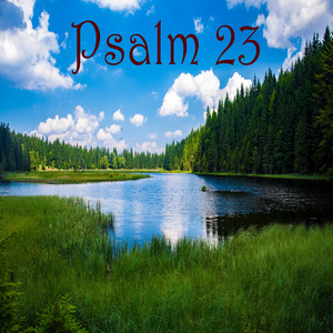 Psalm 23 (Live)
