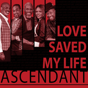 Love Saved My Life (Radio Edit)