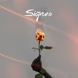 Signes